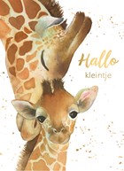 geboorte hallo kleintje giraffe